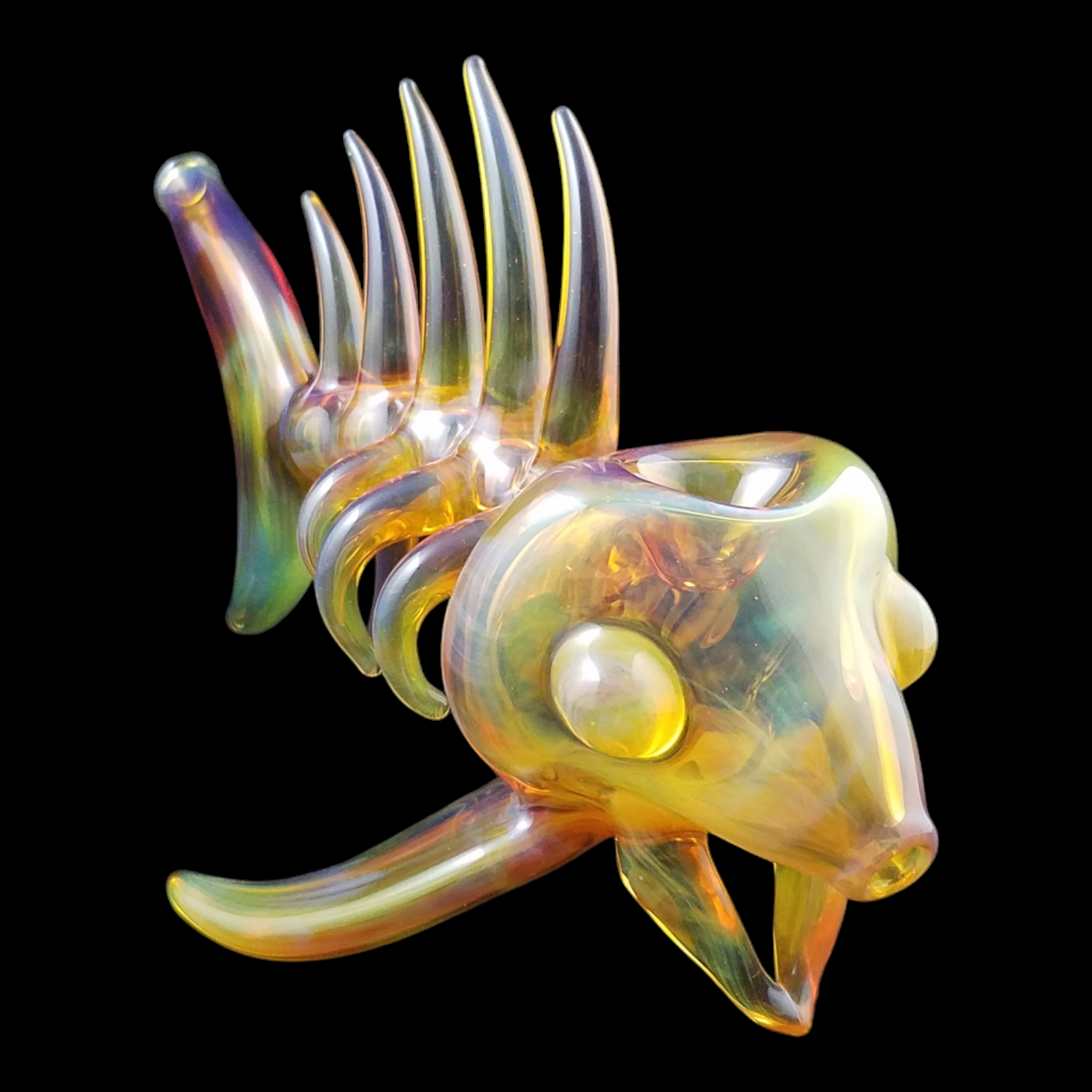 Buck Glass Fish view 11