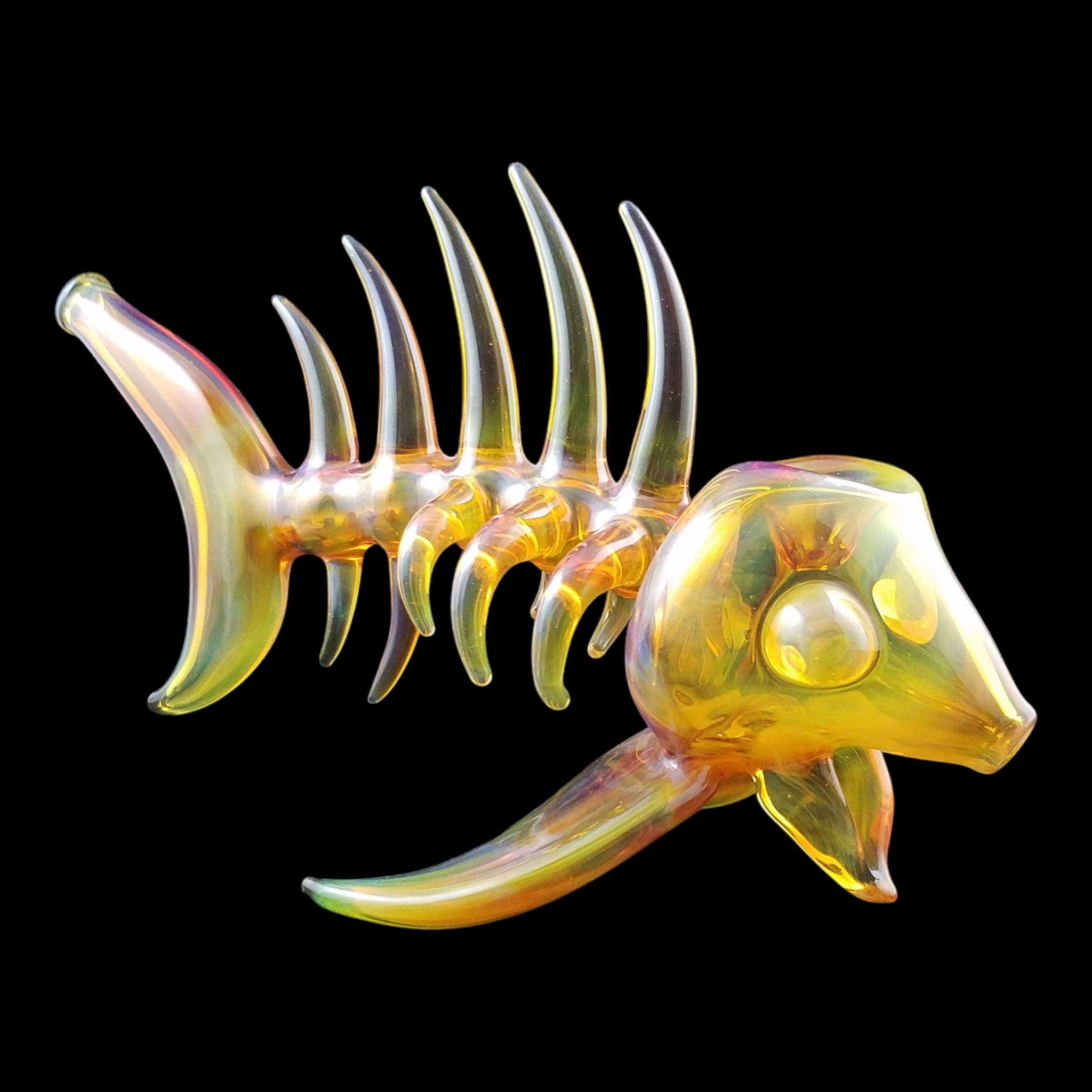 Buck Glass Fish view 2