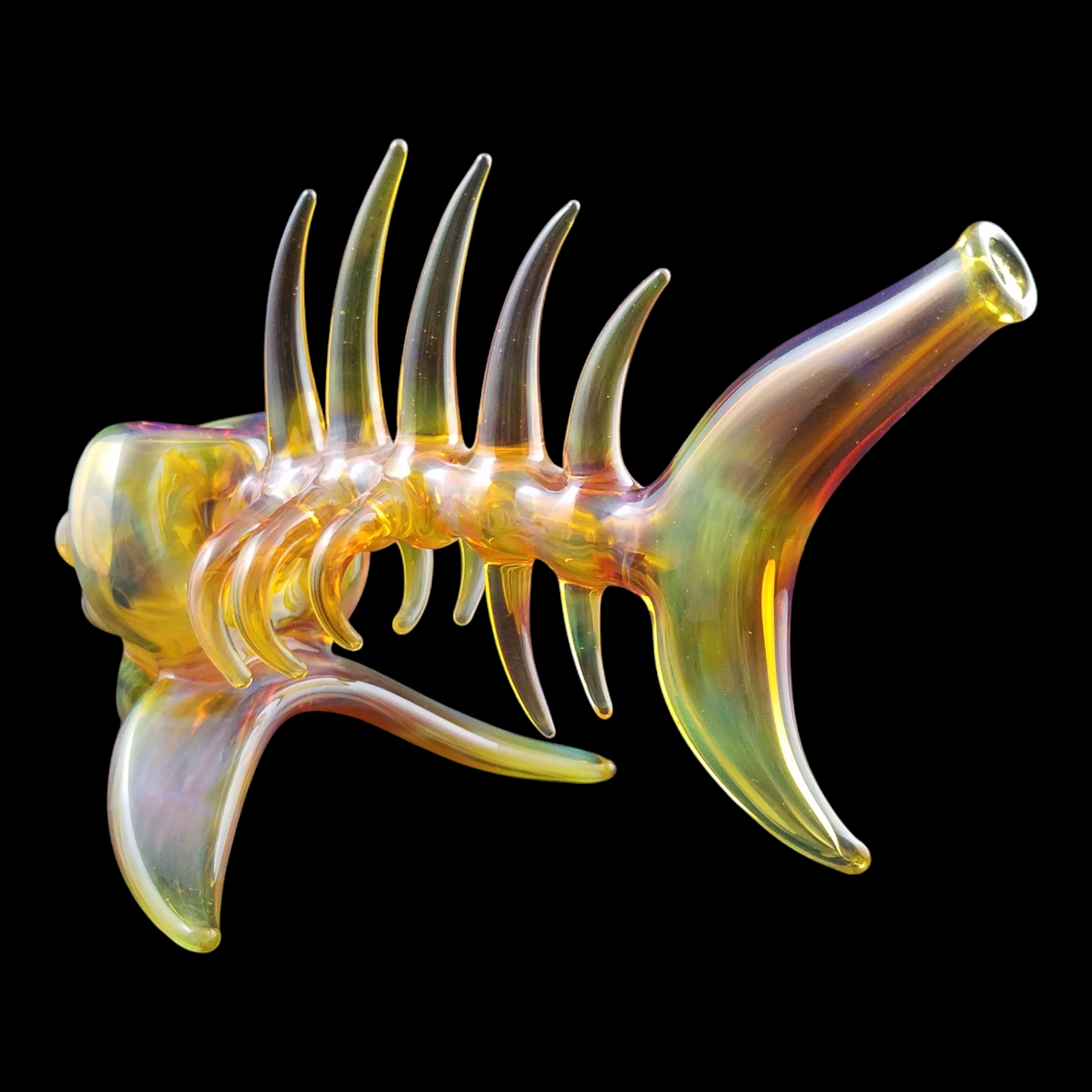 Buck Glass Fish view 3
