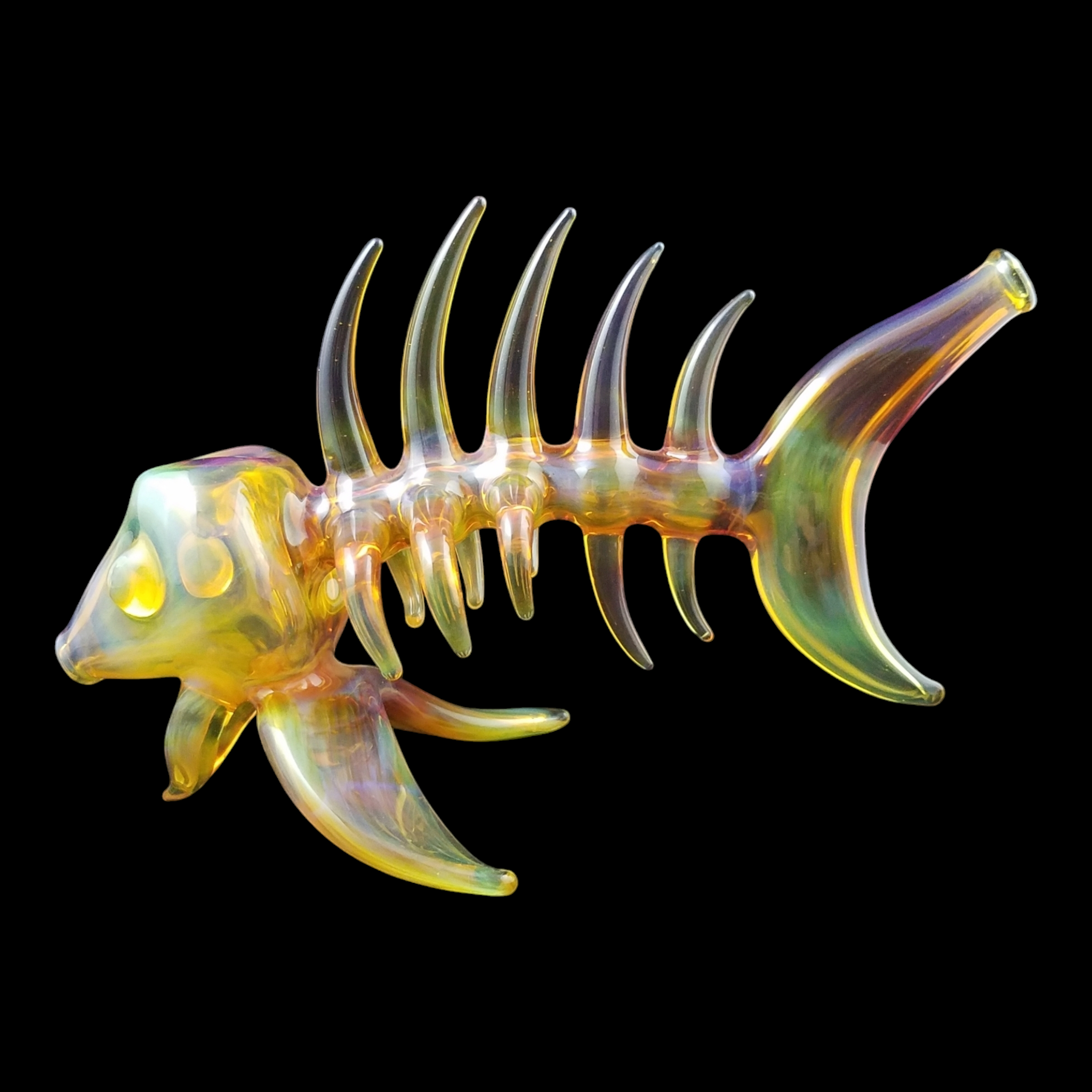 Buck Glass Fish view 5