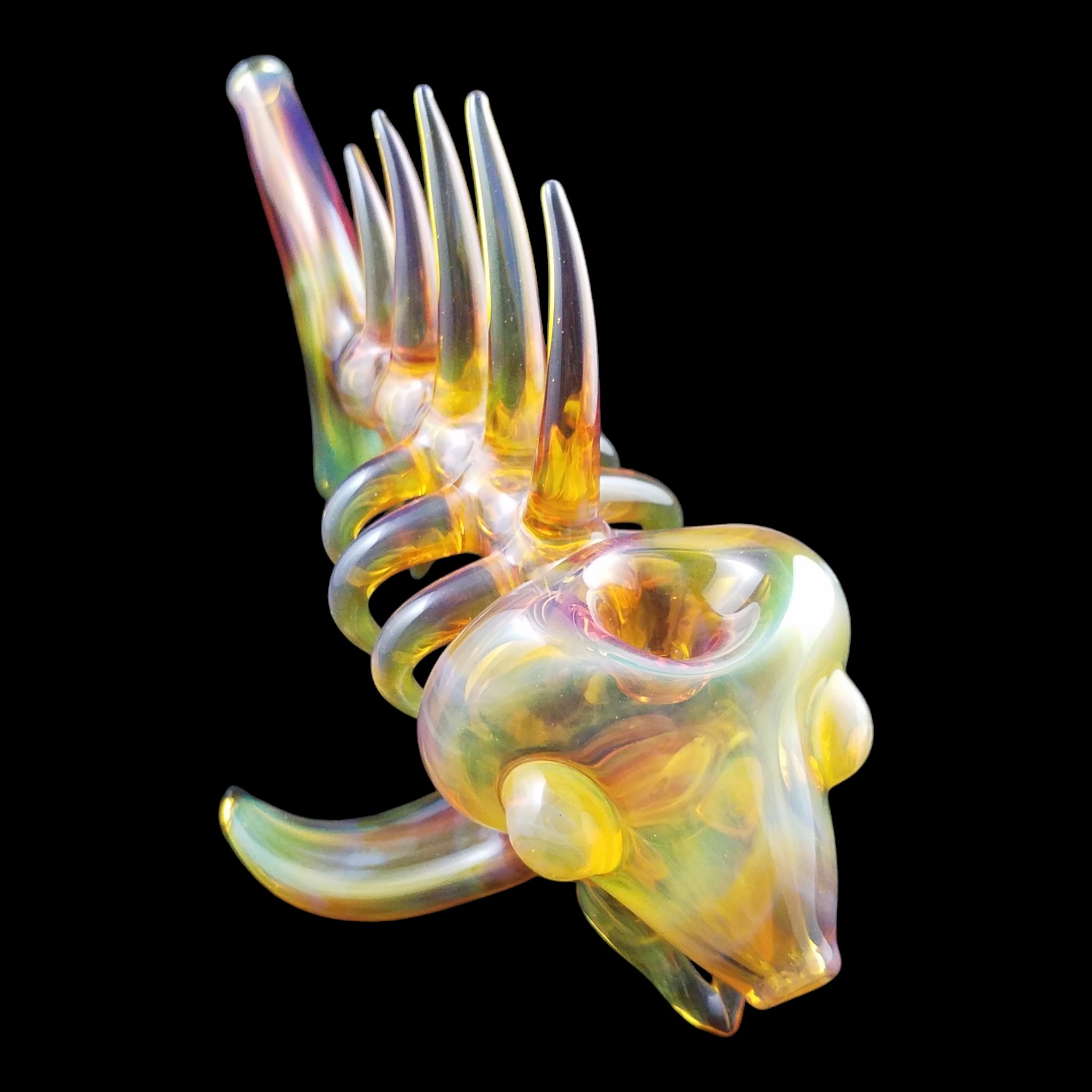 Buck Glass Fish view 6