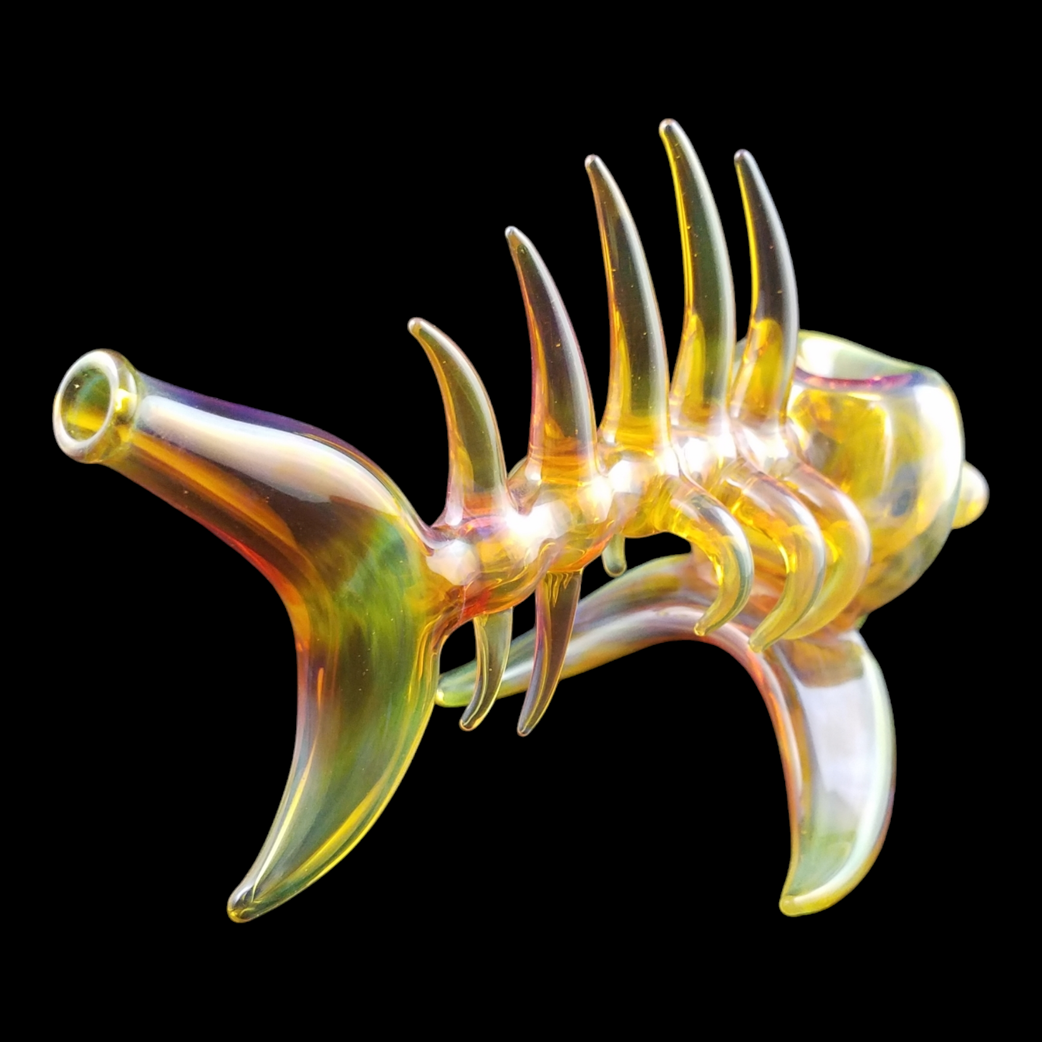Buck Glass Fish view 7