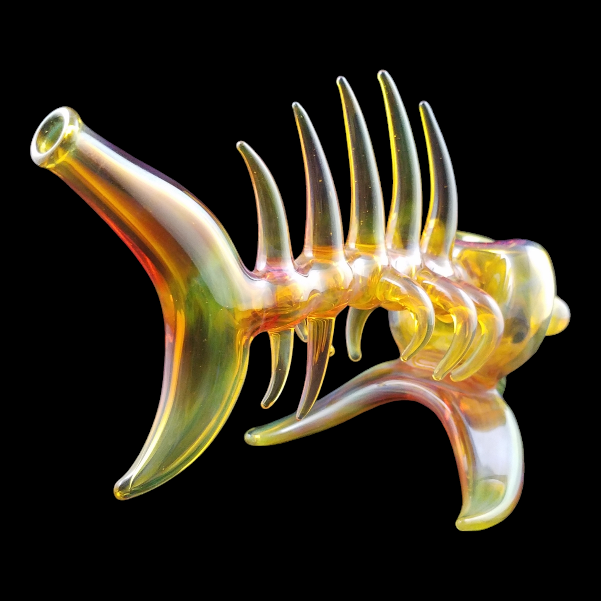 Buck Glass Fish view 9