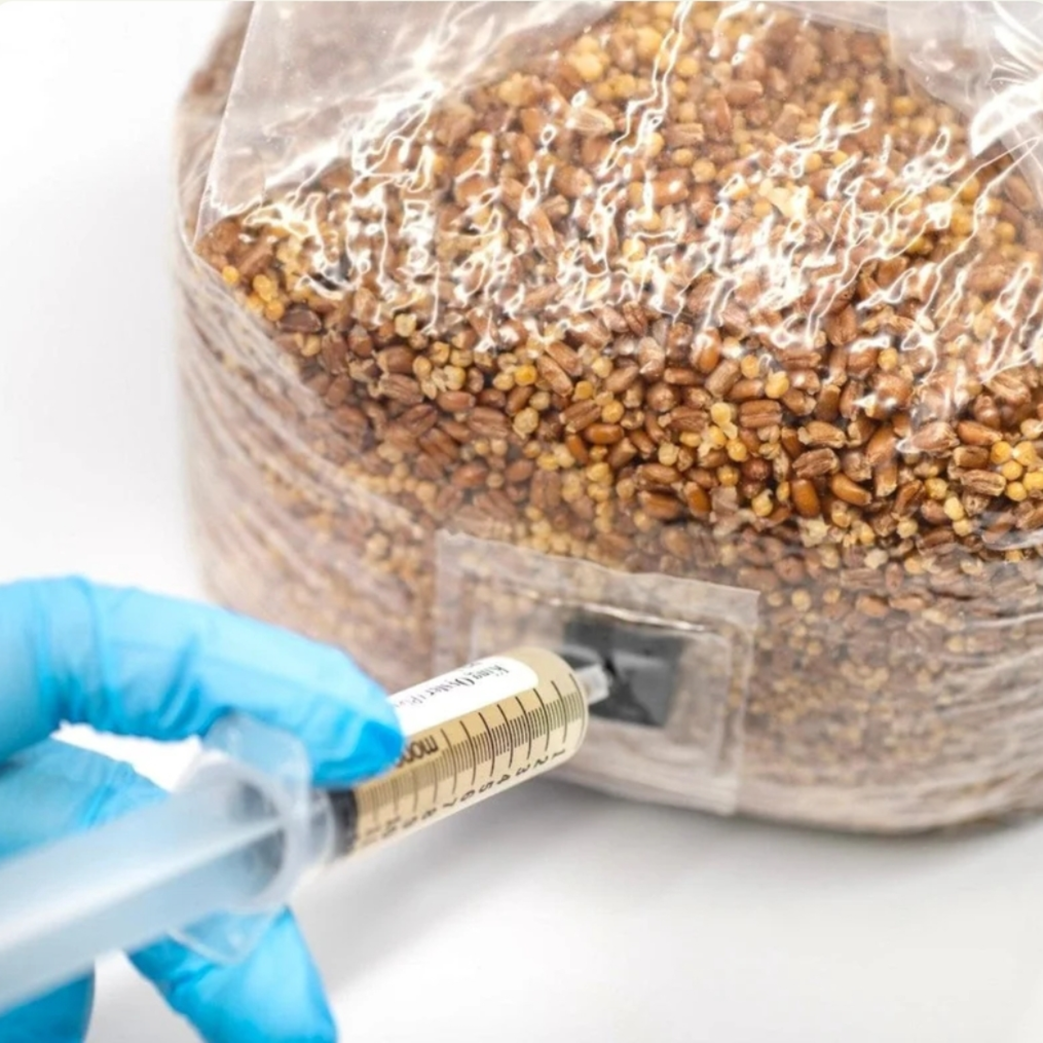 Organic Sterilized Grain Bag with Injection Port view 3